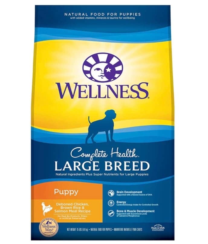 Best Dog Food for Large Breed Puppies