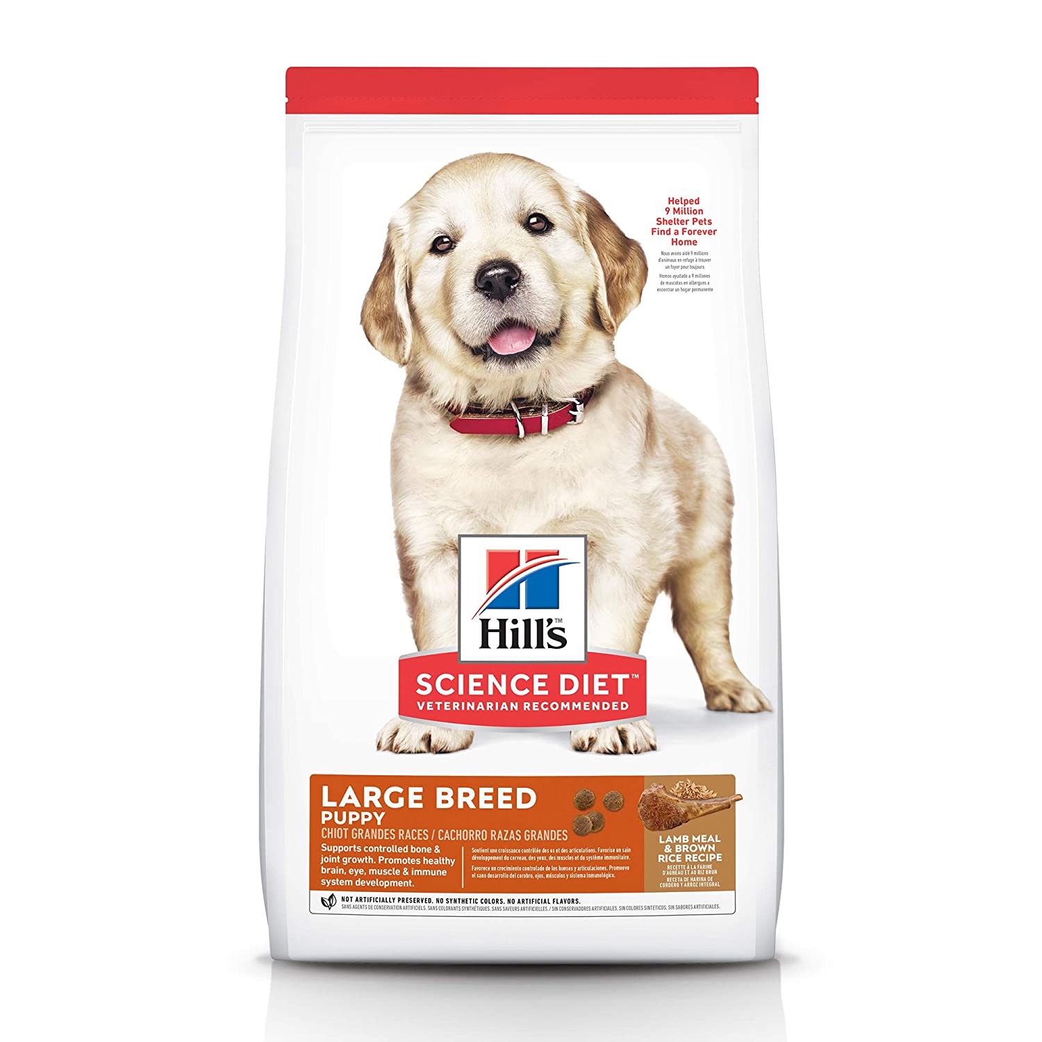 Best Dog Food for Large Breeds (2021)