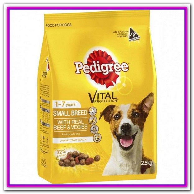 Best Senior Dog Food For Small Breeds