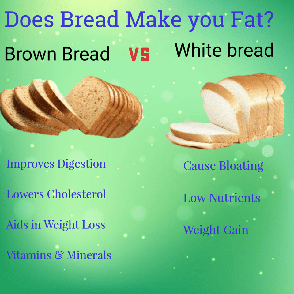 BREAD MAKES YOU FAT  A TRUE OR FALSE PERCEPTION