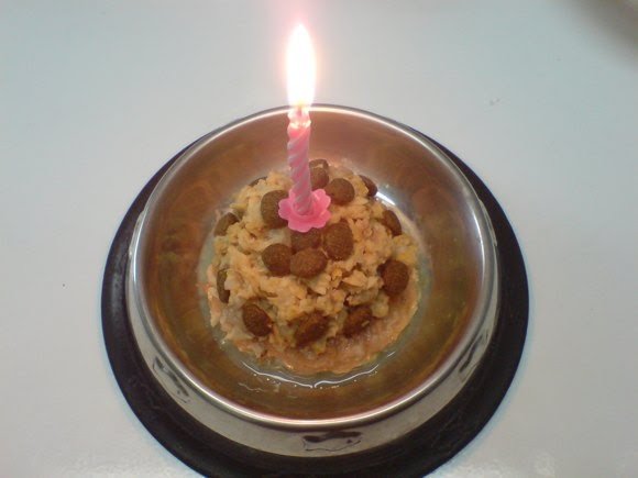 Cloud9Food: Birthday Cake for your Cat