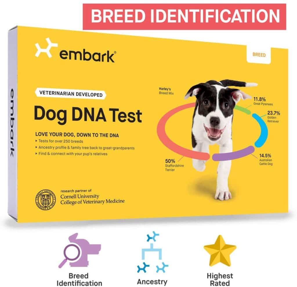Comparing The Best Dog DNA Test Kits  The Krazy Dog