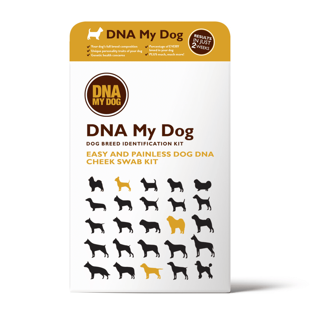 DNA My Dog Breed ID Testing Kit
