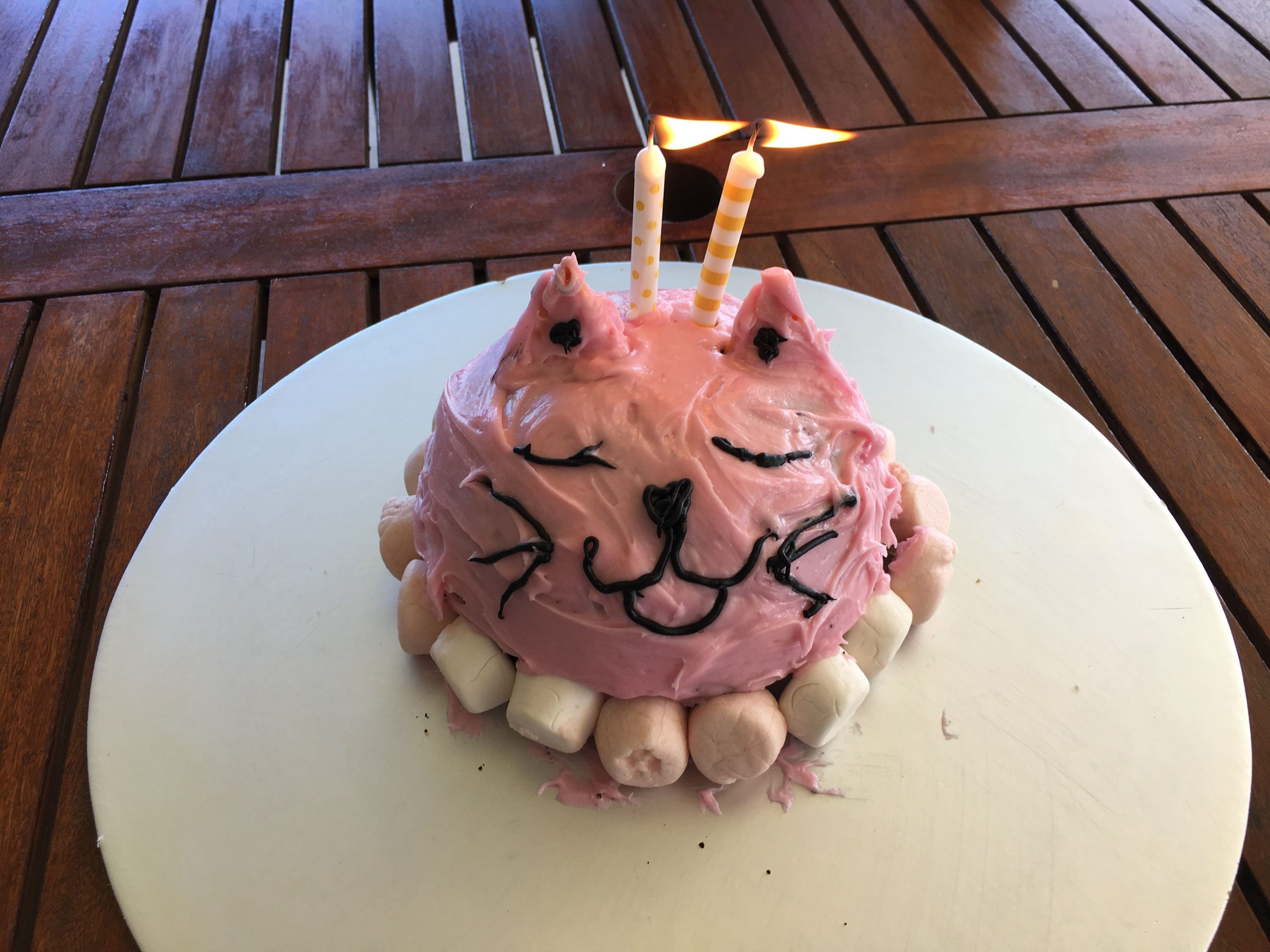 Easy Cat birthday cake
