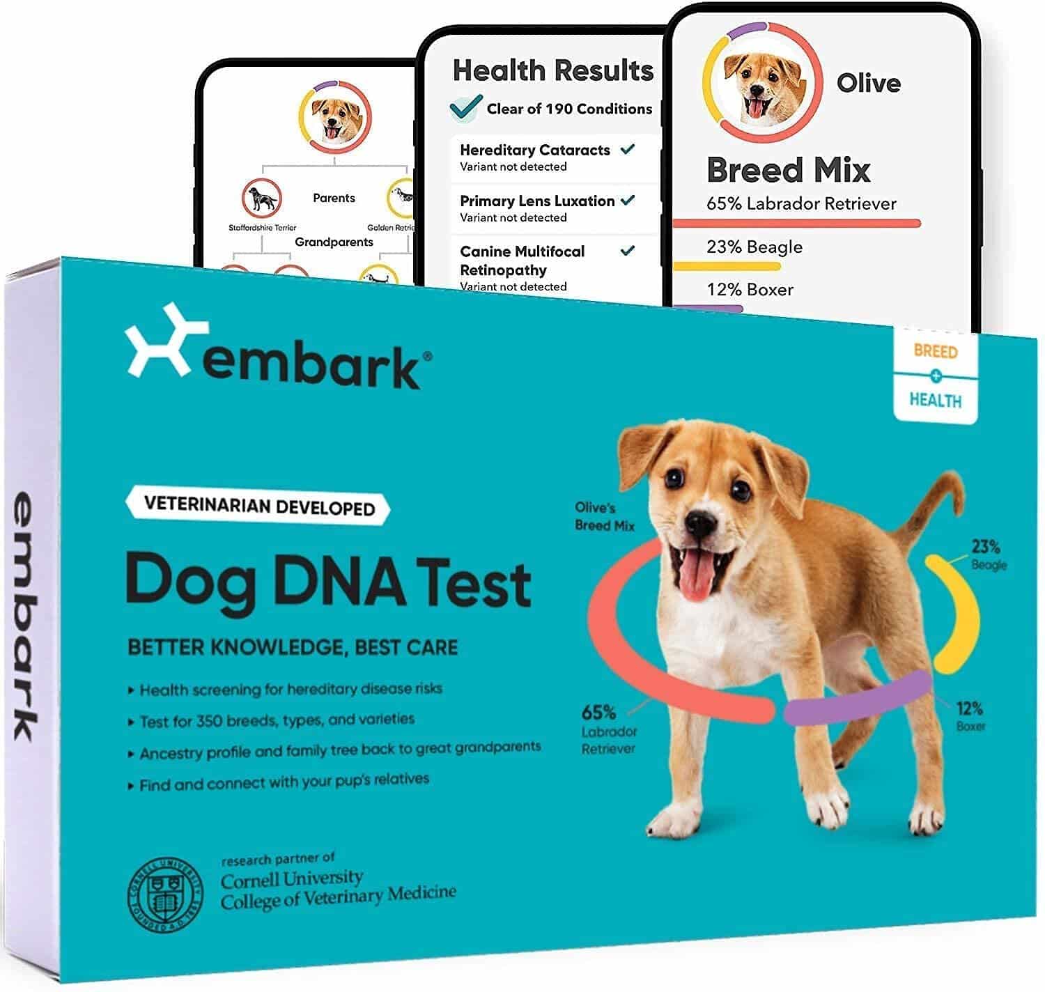 EMBARK Breed &  Ancestry Identification, Trait &  Health Detection Dog ...