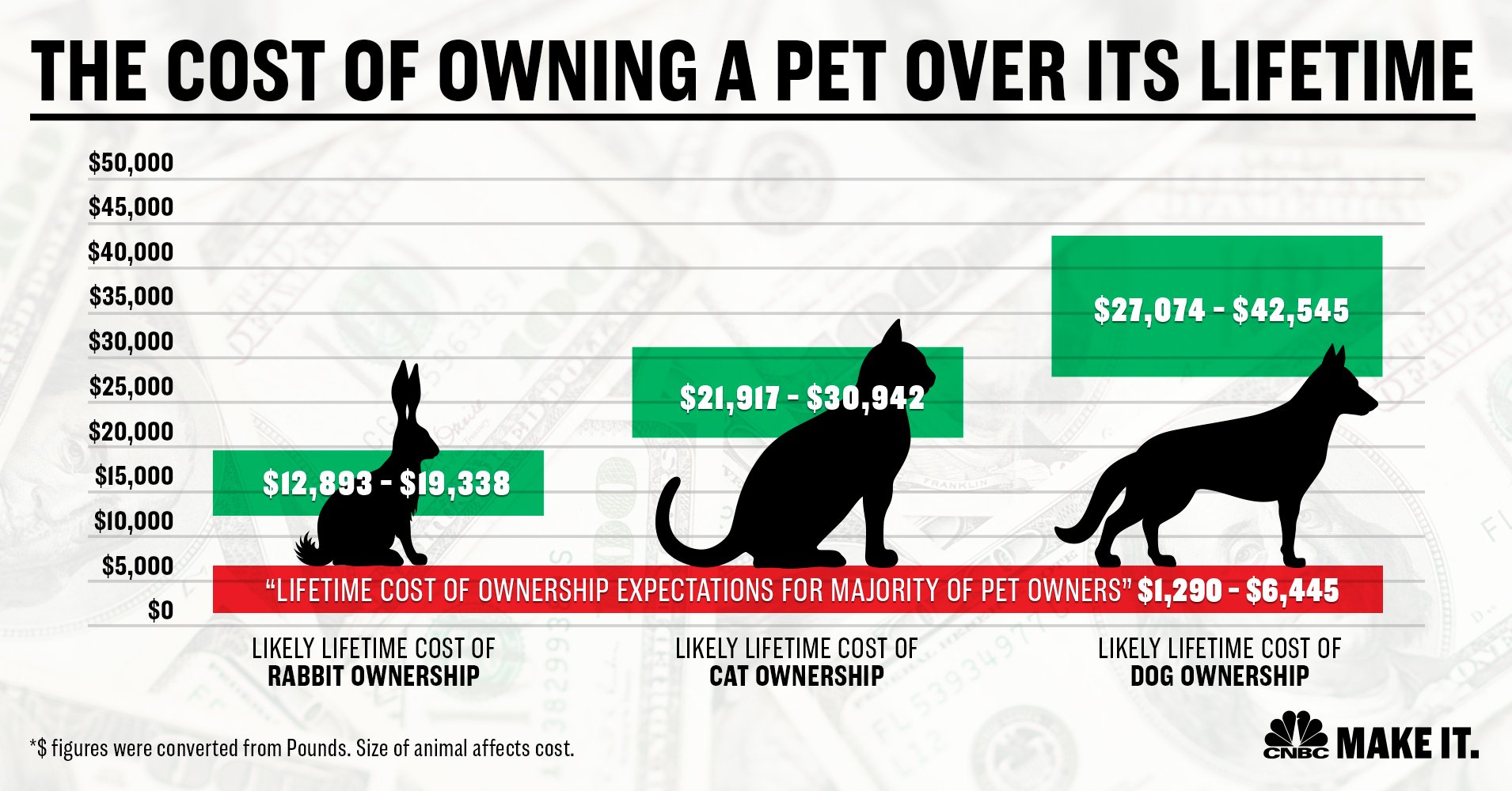 How much does it cost to own a dog: 7 times more than you expect