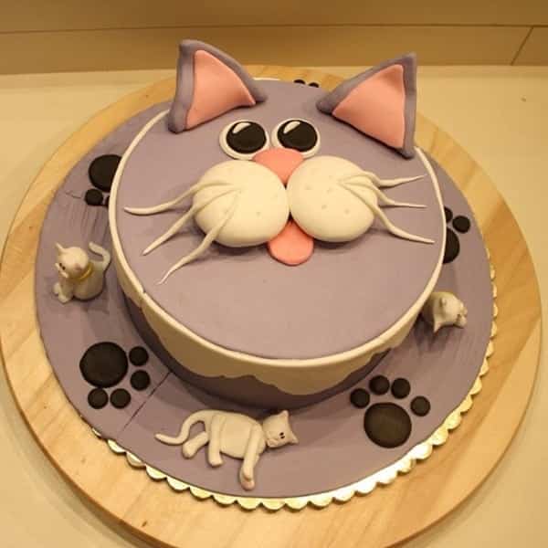 How to make a Birthday Cake for Cats : Easy Recipe