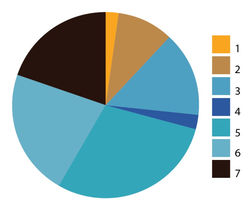 How to Make a Pie Chart in Adobe Illustrator: 5 Steps