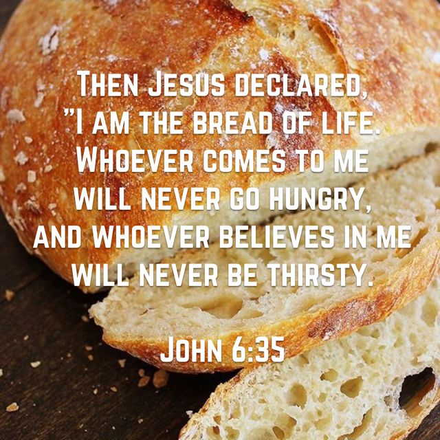 i am the bread of life john 635 bible apps bread hungry
