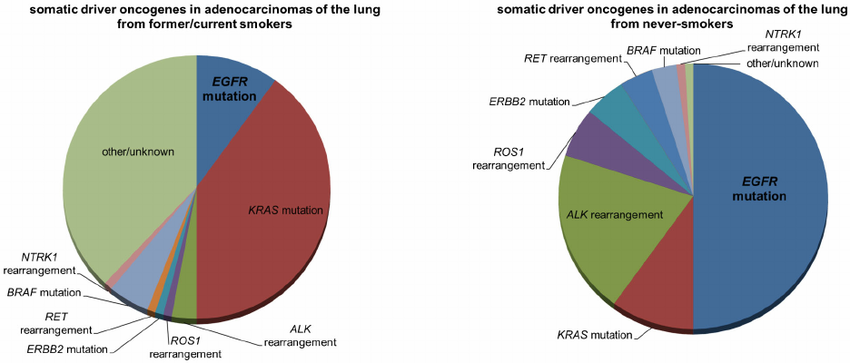 Pie chart of the frequency of driver oncogene mutations in ...