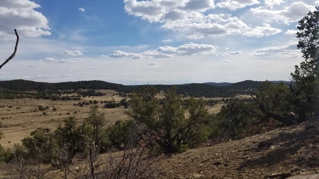 Pie Town, Catron County, NM Undeveloped Land for sale ...