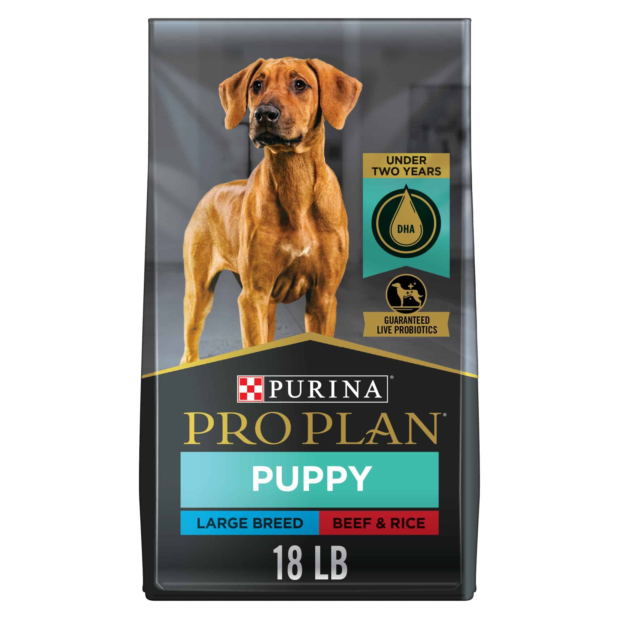 Purina Pro Plan Development Beef &  Rice Formula Large Breed Dry Puppy ...