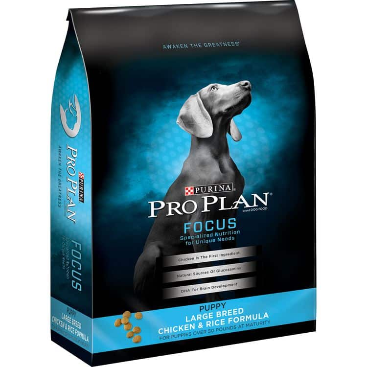 Purina Pro Plan Focus Puppy Large Breed Chicken &  Rice Formula 34 lbs ...