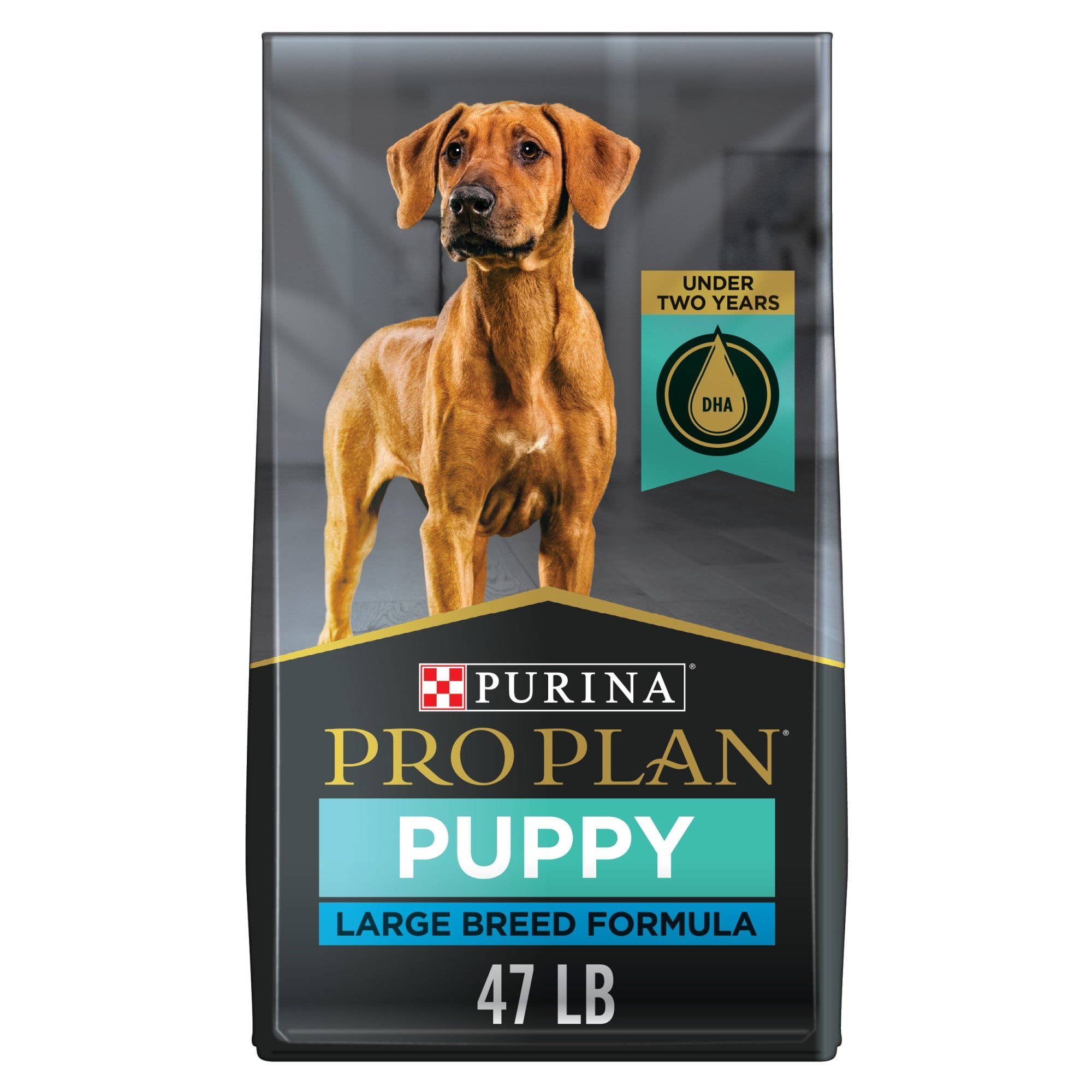 Purina Pro Plan Large Breed Focus Chicken &  Rice Formula Dry Puppy Food ...