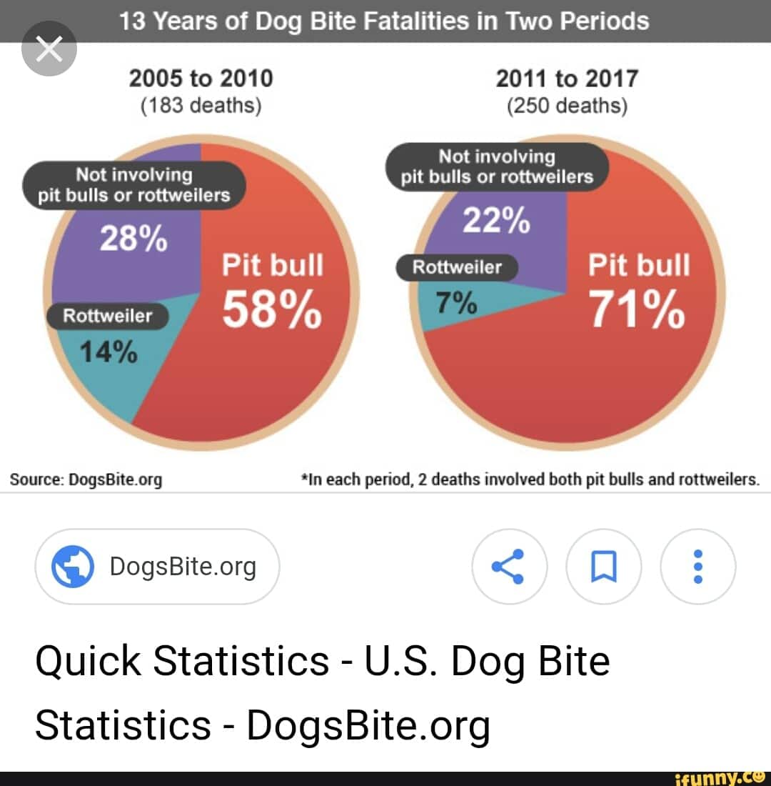 Quick Statistics