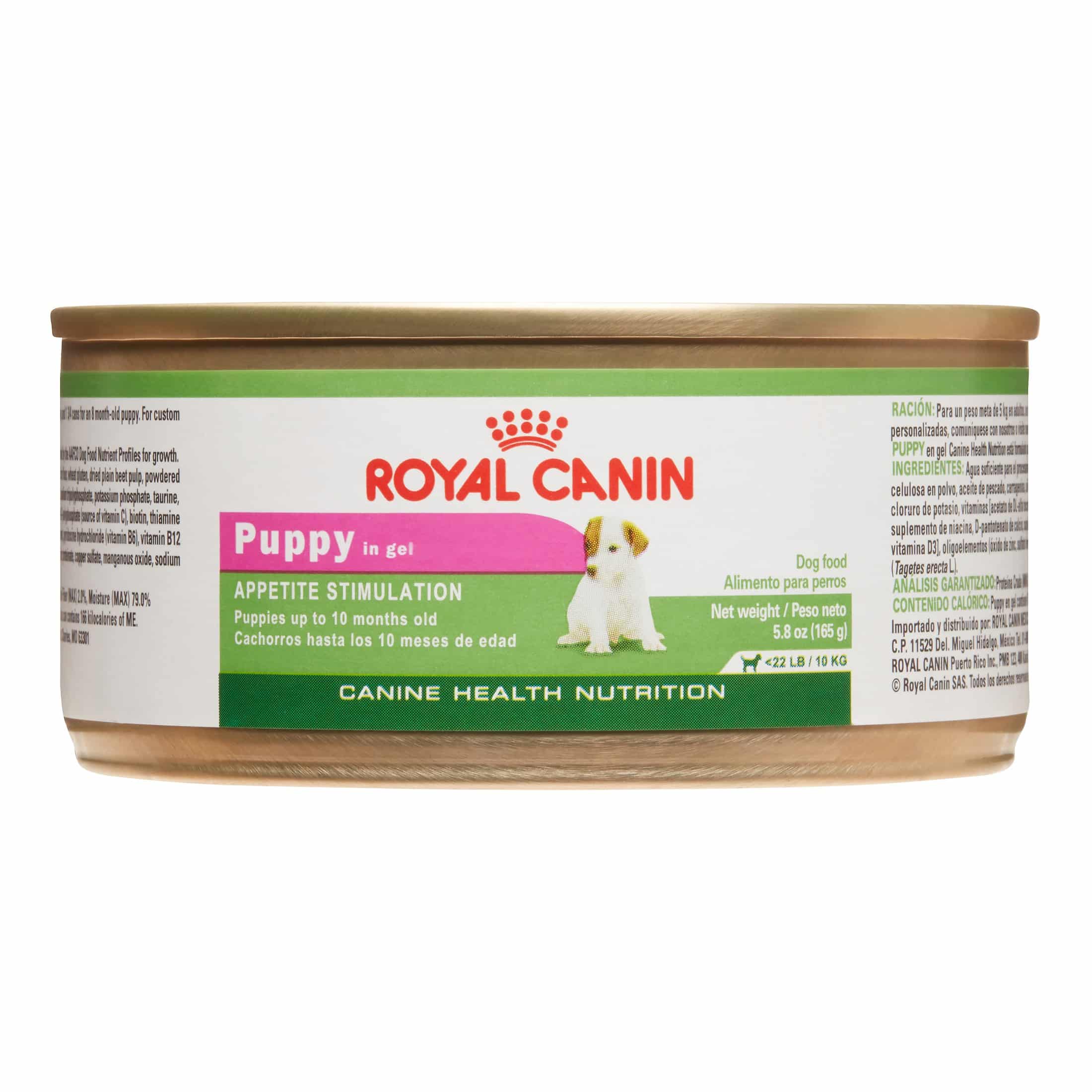 Royal Canin Canine Health Nutrition Puppy in Gel Small Breed Puppy Wet ...