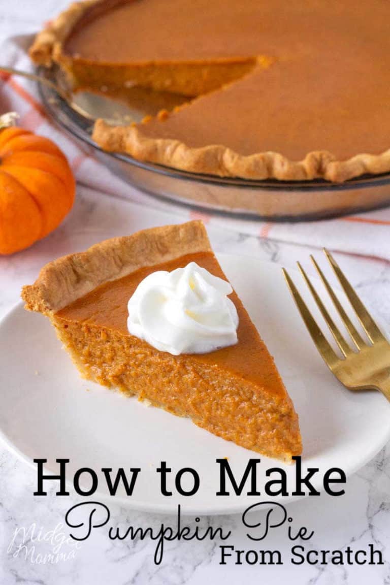 The BEST Homemade Pumpkin Pie! Make Pumpkin Pie from Scratch!