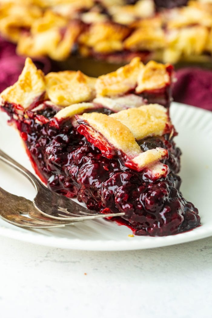 The Ultimate Blackberry Marionberry Pie