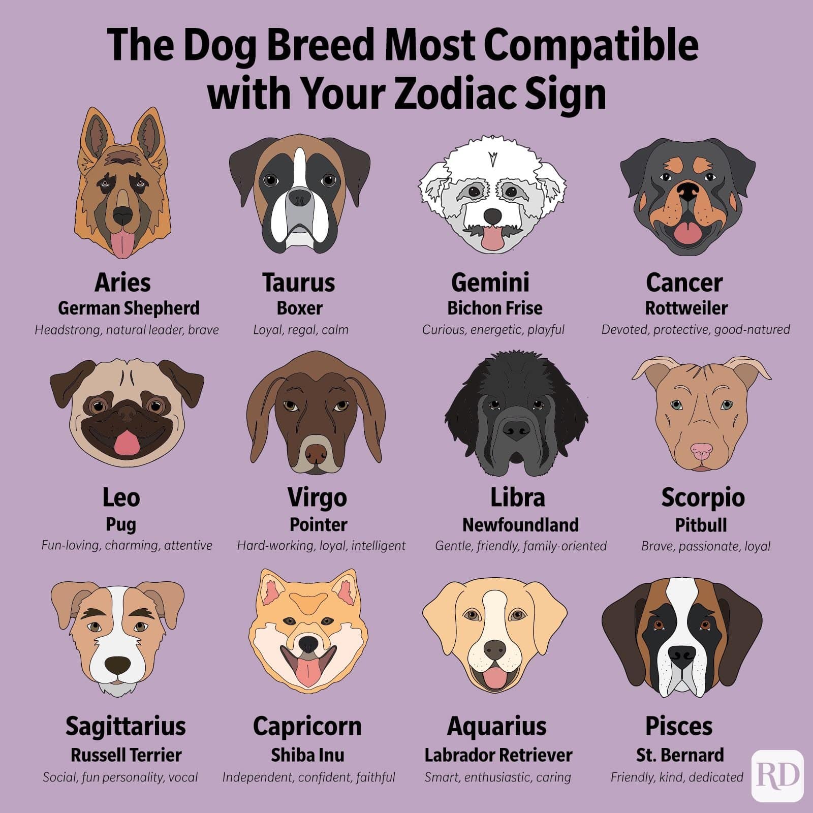 This Is the Dog Breed Thatâs Most Compatible with Your Zodiac Sign ...