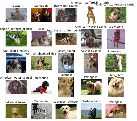 Using deep learning to identify dog breeds