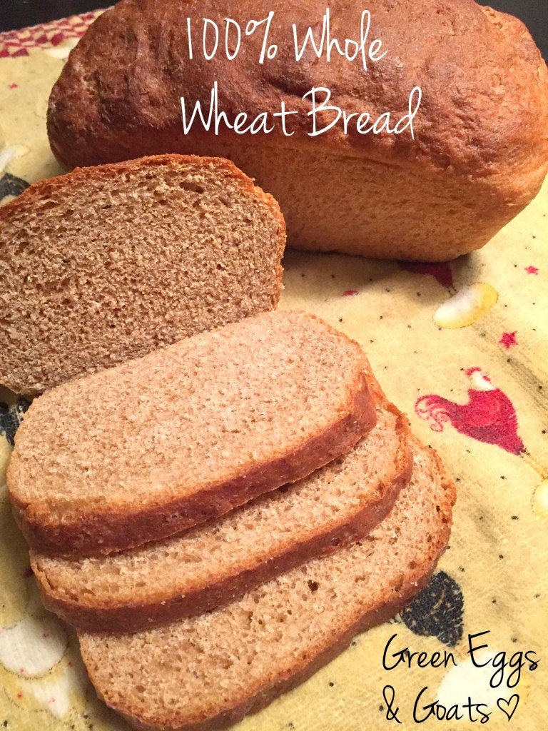 whole Soft 100% wheat bread recipe